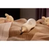 Avent Biberons Natural Response 260 ml 1 mois+ x2 – vue 7
